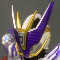 SHFS-H08SG-13.jpg